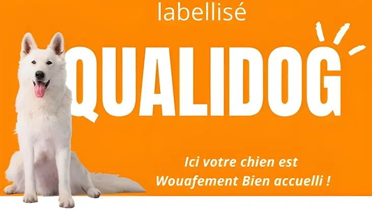 honden welkom op camping les hirondelles
